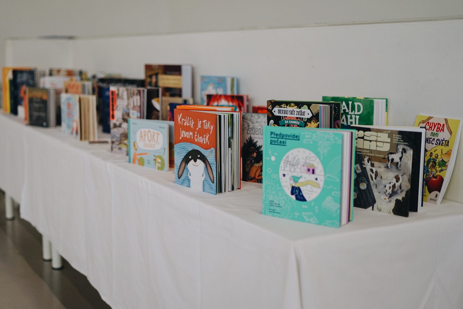 Konvikt | Zlatá stuha | výstava